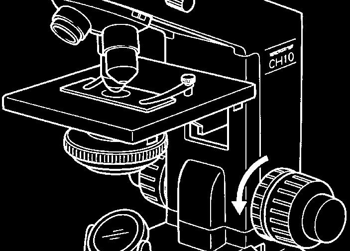 Genauso kann vor dem Mikroskop eine Fluoreszenzlampe aufgestellt oder die als Zubehör erhältliche einfache