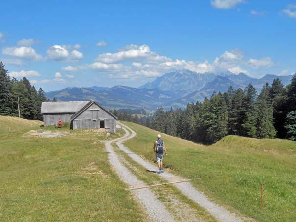 Für den Abstieg nach Ebnat-Kappel wählen wir die direkte