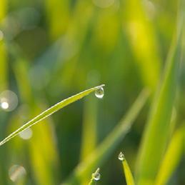 Wasser in der Landwirtschaft Wetter Klima Landwirtschaft