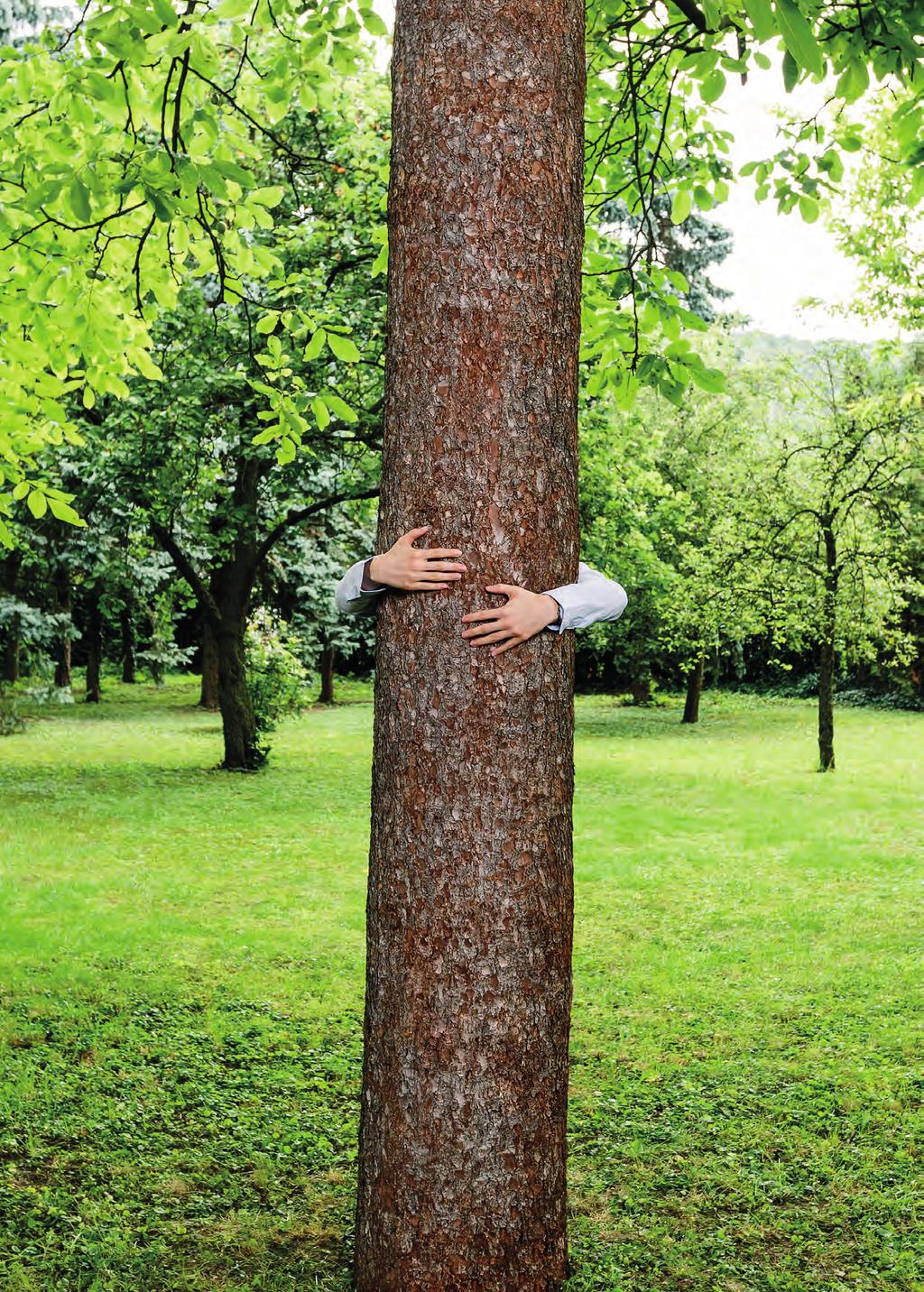 Der verlängerte Arm der Natur. - BURGER. SÄGEWERK UND HOLZHANDEL Franz Burger e.