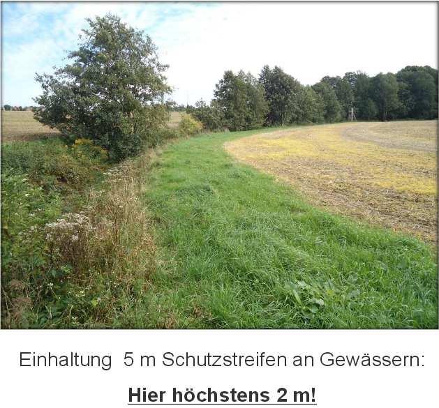 13 https://www.landwirtschaft.sa chsen.