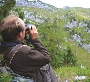 SLOWENIEN/ ÖSTERREICH Das Jagdland Slowenien bietet herausragende Jagdmöglichkeiten auf die Alpengams.