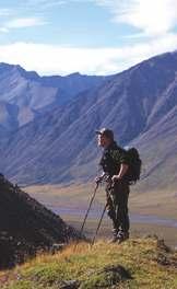 Elch Bejagt wird der Alaska-Yukon-Elch (Alces alces gigas), der stärkste Elch in Nordamerika.