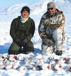 Wir jagen in Grönland mit lokal verankerten und erfahrenen Jägern und verfügen über eine große Erfahrung bei der Organisation von Einzelreisen als auch bei unseren Gruppenreisen.