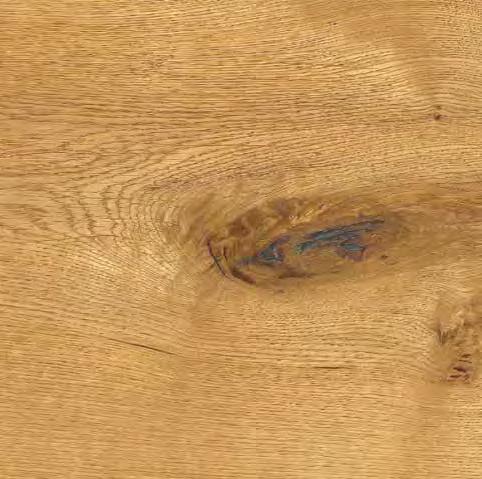 Jahresringe, Maserung und Farbschattierungen im Holz