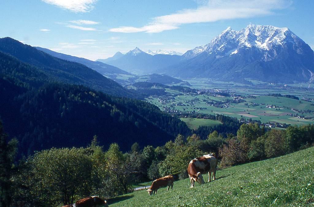 Rahmenbedingungen Südtirol Etwa 12.000 Betriebe vorwiegend im Nebenerwerb Zur Zeit etwa 143.000 Rinder (davon etwa 75.000 Milchkühe = Hauptproduktionsform in der Rinderhaltung) 87.