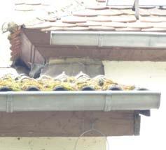 Einschlupfmöglichkeiten für Gebäudebrüter und Fledermäuse am Traufkasten und zwischen Dachziegeln. Ein am Gebäude angebrachter Nistkasten wird von einem Kohlmeisenpaar genutzt.