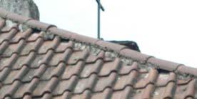 715) Dachmaterial: Schieferschindeln (Turm), Ziegelpfannen (restliches Dach) Traufkasten aus Holz: ja Verputzte