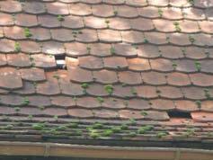 10.2015 Dachmaterial: flache Dachziegel und Flachdach Der Baukörper hat