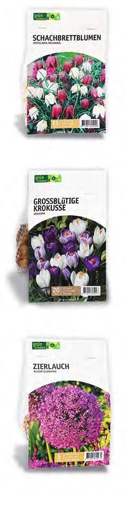 Farben Blütezeit: April Mai  35 40 cm Zwiebelgröße: 12/+ Packung mit 20 Stück Neuheit XXL-Packung 2, 49 STATT