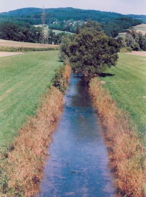 LIFE HUCHEN Mankfluss vorher nachher LIFE Natur WACHAU 5,26 Mio Euro, 50% EU Team nationaler Kofinanzierer 6