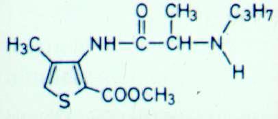 Articain Präparat: Ultracain DS forte (80 mg und 25µg/2ml) Septanest (68 mg und 17µg/1,7ml), Ubistesin (68 mg und 8,5µg/1,7ml), Ubistesin