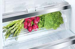 156 Frischhaltesystem VitaFresh Verlängern Sie die Lebenserwartung Ihrer Lebensmittel. Bosch Kühlgeräte mit VitaFresh-Technologie halten Gemüse, Fleisch und Milchprodukte bis zu dreimal länger frisch.
