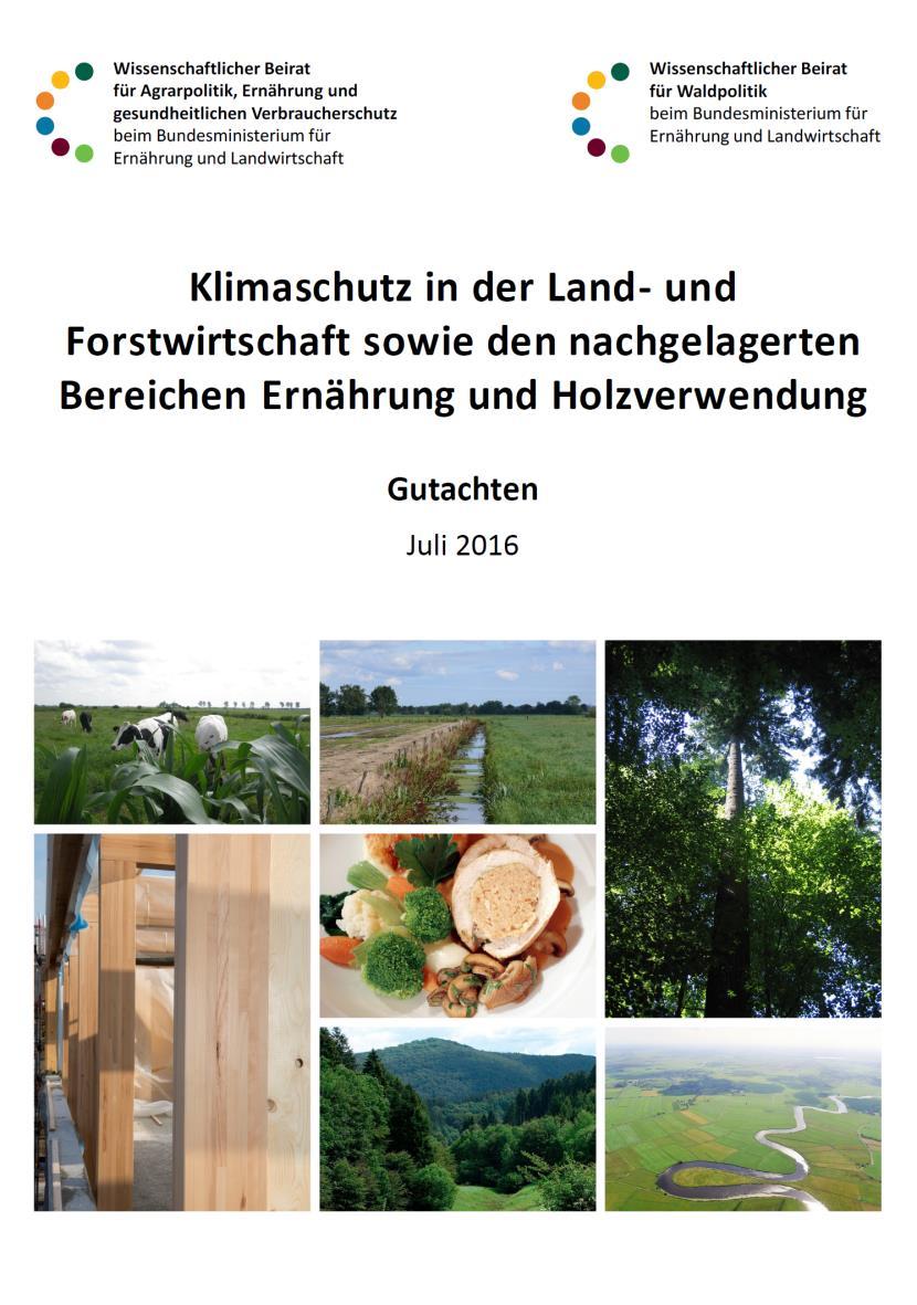 Gutachten Klimaschutz in der Land- und Forstwirtschaft Auszug aus Kurzfassung (Seiten xxii-xxv) VIII Die wichtigsten Empfehlungen im Bereich Forstwirtschaft und Holzverwendung VIII.
