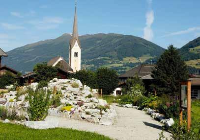 Im Österreichischen Pinzgau, inmitten des Nationalparks Hohe Tauern, liegt nun ein Dorf, das sich der Kräuterkunde und dem Kräuteranbau verschrieben hat.
