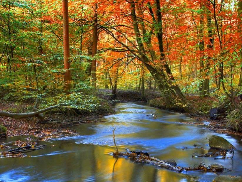 Der Schutz der Gewässer und des Waldes als Wasserspeicher