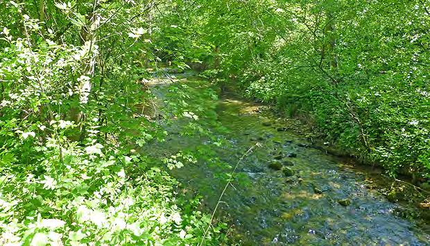 6 Einzugsgebiet Ergolz 48 Bild 34 Wenig beeinträchtigtes Gerinne des Homburgerbachs mit kiesiger Sohle im Dorf Diepflingen unterhalb der Mündung des Chrintelbachs (19.05.2014).
