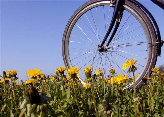 Stärken des Fahrradtourismus Zunehmende Beliebtheit des Fahrrads als Freizeitgerät, Wachsende Affinität zum Fahrrad bei älteren Jahrgängen, Positive gesundheitliche Wirkungen, Breite