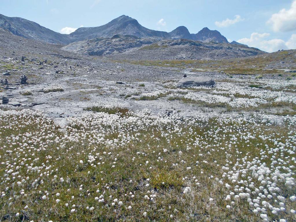 .....durchwandern wir eine der wohl schönsten und