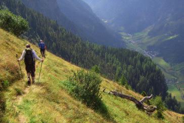 Die Voraussetzungen dafür haben die Naturparkverwaltung und die Alpenvereinssektionen gemeinsam geschaffen. So wurde vom Naturpark der Kaunertaler Panoramaweg bereitet und gepflegt.