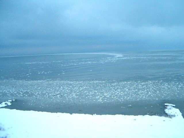 Pancake ice in the northern part of the Greifswalder Bodden (photo of 28 