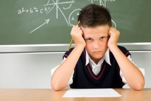 PROBLEMBEREICH SCHULE Folgende Problembereiche sind zu beobachten: Fehlen von Hausaufgaben, bzw.