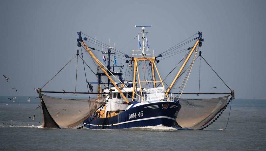 Verantwortungsvolle Zucht ASC zertifiziert Zeelandia van Belzen ist nach dem Aquaculture