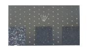 /VPE 8,95 Abbildung Beschreibung Palette VPE Terrassenschraube Edelstahl A2 Wurzelvlies schwarz Verstellfuß Ausgleichspad Befestigungskit 200 x 300 x 8 mm für einfache Beschwerung der