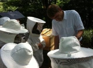 Aktion: Imker laden Freunde, Bekannte, Nachbarn oder Schulklassen zu ihren Bienen ein.