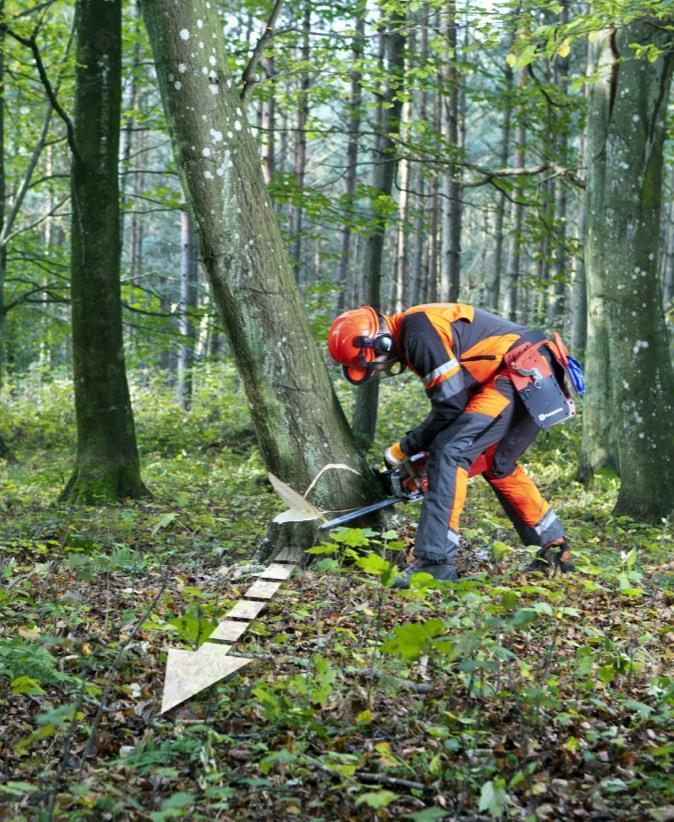 Fällen von starken Vorhängern und