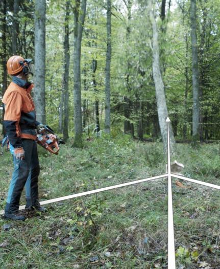 Der Fluchtweg ist Ihre Lebensversicherung. Wenn der Baum am Fallen ist, müssen Sie sich schnell in Sicherheit bringen können.