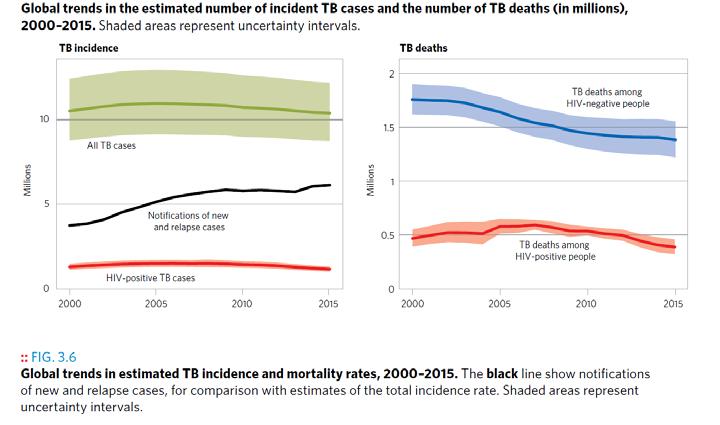 Epidemiologie der Tuberkulose Infizierte Personen:
