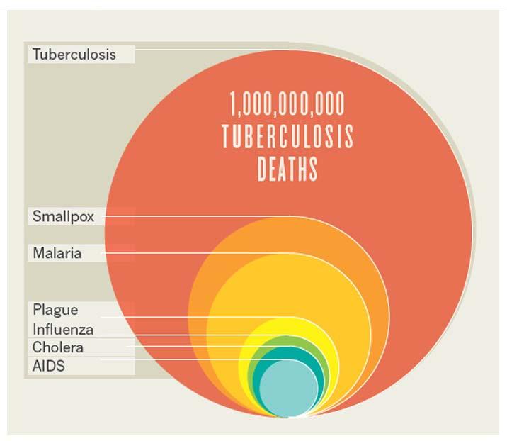 Tuberkulose und andere Infektionskrankheiten Institute of Medical