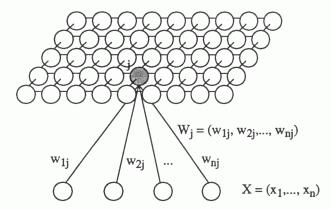 Das Neuronale Gas (Thomas Martinetz, Klaus Schulten 1991) Ein Neuronales Gas ist definiert durch die Gewichtsvektoren w i seiner Neuronen.