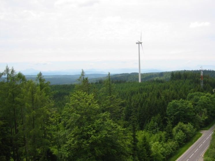 Fazit Wirtschaftswälder bieten neue Nutzungsmöglichkeiten der Windenergie Schall- und Schattenwurfproblematik reduziert Raubvogelflugzone weitestgehend überschritten Vorhandene Infrastruktur