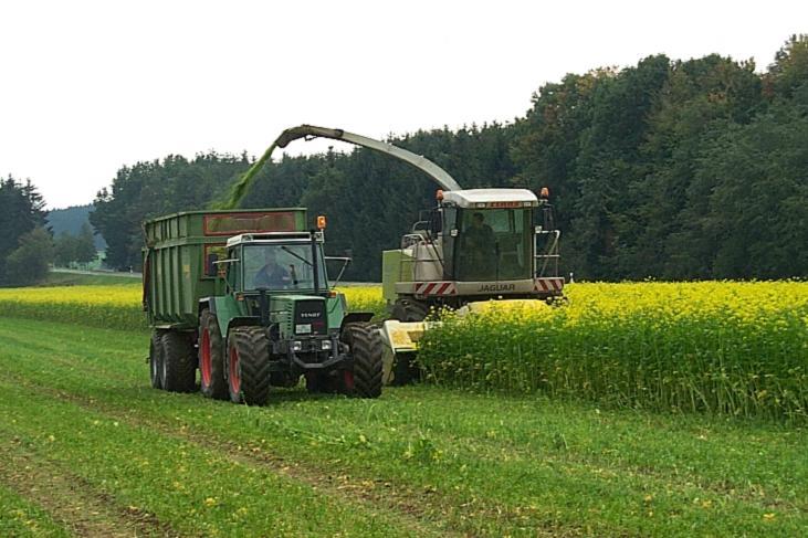 Der Anbau in der Zusammenfassung Mais wird die Hauptenergiepflanze für die Biogasproduktion bleiben Standort angepasste Fruchtfolgen: Einjährige Hauptkultur Zweikulturnutzung mit Winterzwischenkultur