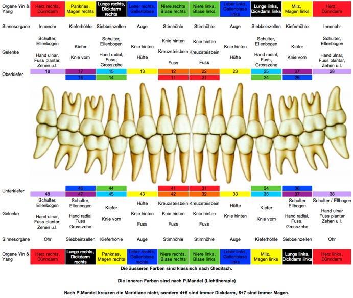 Zahnärztliche Eingriffe ( Wurzelkanalbehandlung, Zahnexktraktion, Entfernung von Amalgam, Amalgamausleitung, Zahnspangen, Implantate Bitte einzeichnen: gezogene Zähne : f Füllung: x Kronen: k Brücke: