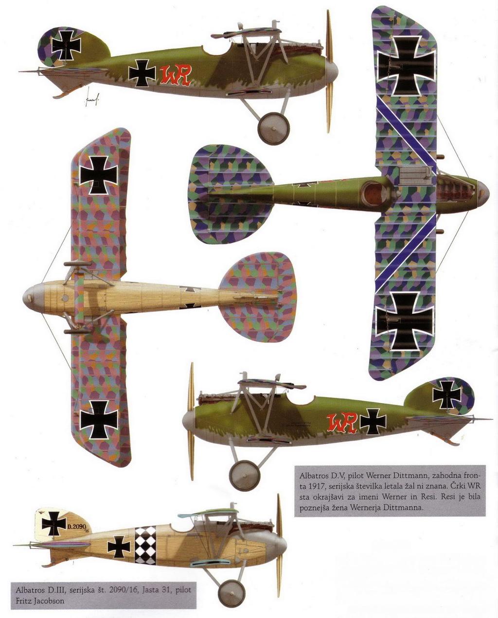 Albatros D V, Pilot Werner Dittmann, Westfront 1917; leider ist die Seriennummer des Flugzeugs unbekannt.