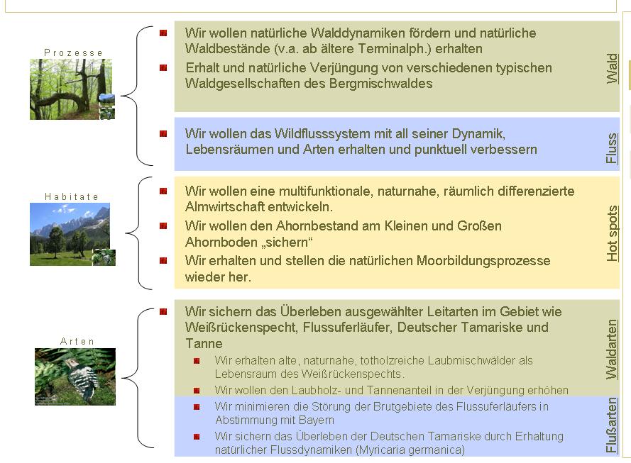 Ziele (aus Karwendelprogramm 2013) Die wichtigsten Meilensteine 2009 3 neue Naturwaldreservate im Vomperloch Neues Flussuferläuferprojekt im Rißtal Konsequente Umsetzung des Artenhilfsprogramms am