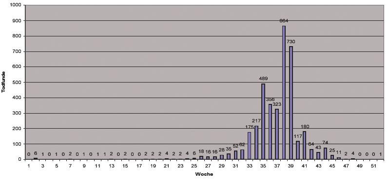 Seehundtodfunde pro Woche im Niedersächsischen Wattenmeer 2002 Zu den auffälligen Symptomen der Seehundepidemie 1988 gehörte die relativ große Zahl von Todfunden im Frühjahr.