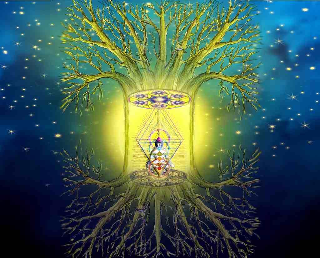 Meditiere und atme diesen Satz: Der Baum ist Teil des Universums, lange bevor es Menschen gab.