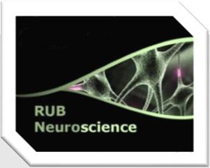 Neurowissenschaften an der RUB Research Department of Neuroscience