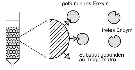 Nernstscher Verteilungssatz Beschreibt die Verteilung eines Stoffes zwischen zwei miteinander nicht mischbaren Phasen (z.b. gasförmig / flüssig oder flüssig / fest oder flüssig / flüssig).