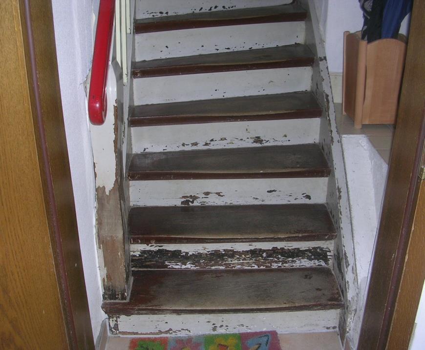 Treppen geeignet Beton