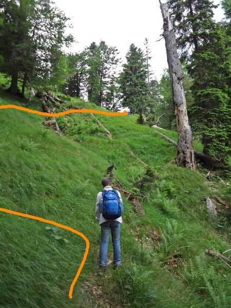 Danach wird es rasch ungefährlicher und man erreicht die Klause (kurz vorher im Wald Abzweig rechts hinauf zur Hütte).