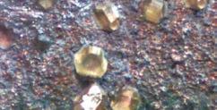 as Metallpulver besteht zum Beispiel aus Bronze, Kobalt, Eisen, artmetall, Wolframkarbid.