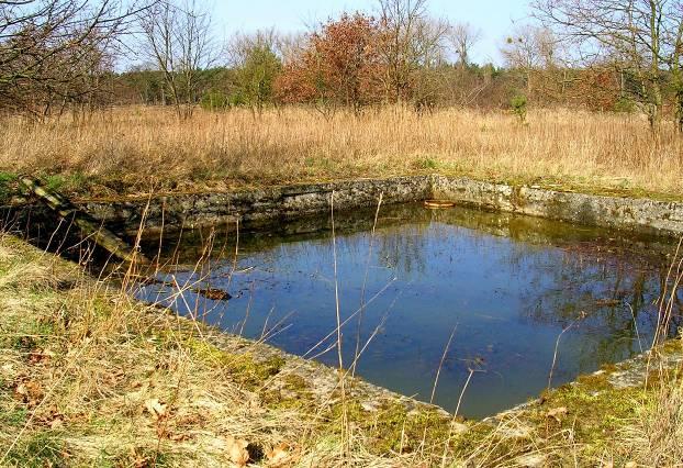 Einleitung Die Naturforschende Gesellschaft West-Mecklenburg e.v. kartierte 2005 ein Gelände nördlich der Thermischen Abfallverwertungsanlage (TAV) bezüglich der vorkommenden Flora und Fauna.