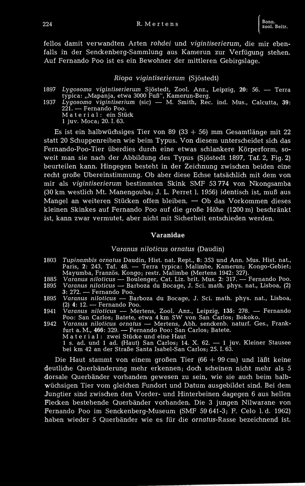 Terra typica: Mapanja, etwa 3000 Fuß", Kamerun-Berg. 1937 Lygosoma vigintiserium (sie) M. Smith, Ree. ind. Mus., Calcutta, 39: 221. Fernando ein Stück Material: 1 juv. Moca; 20. 1. 63.