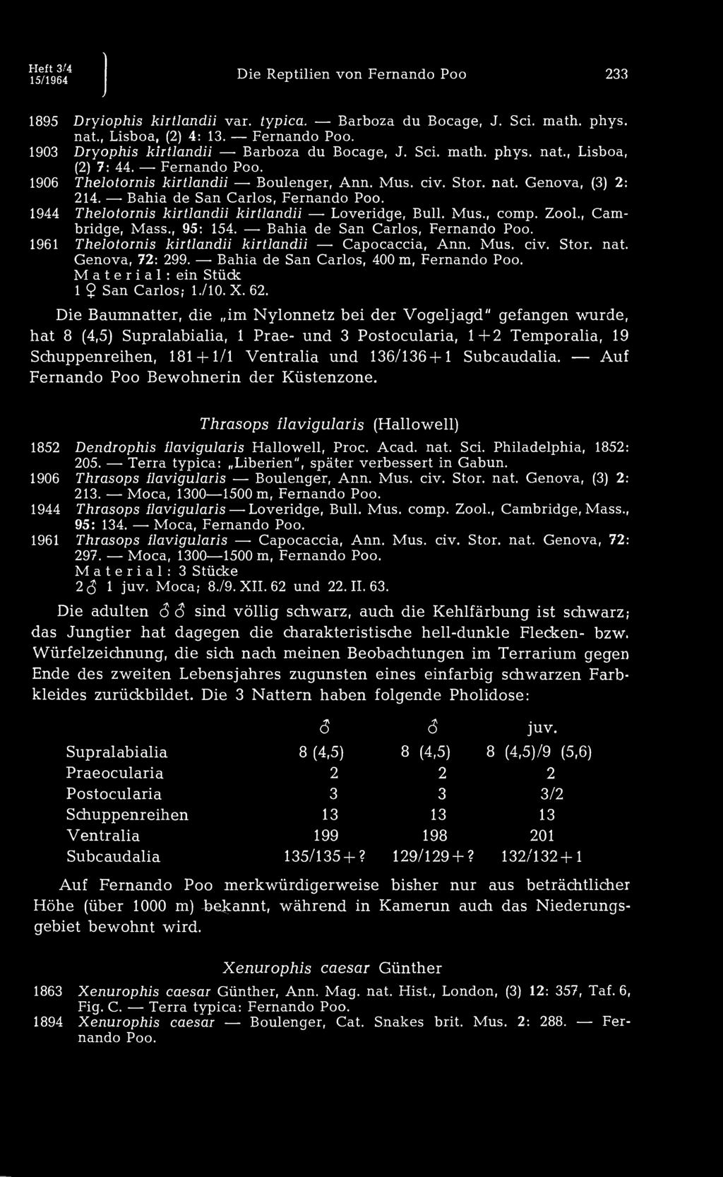 Fernando 1903 Dryophis kirtlandii Barboza du Bocage, J. Sei. math. phys. nat., Lisboa, (2) 7: 44. Fernando 1906 Thelotornis kirtlandii Boulenger, Ann. Mus. civ. Stor. nat. Genova, (3) 2: 214.