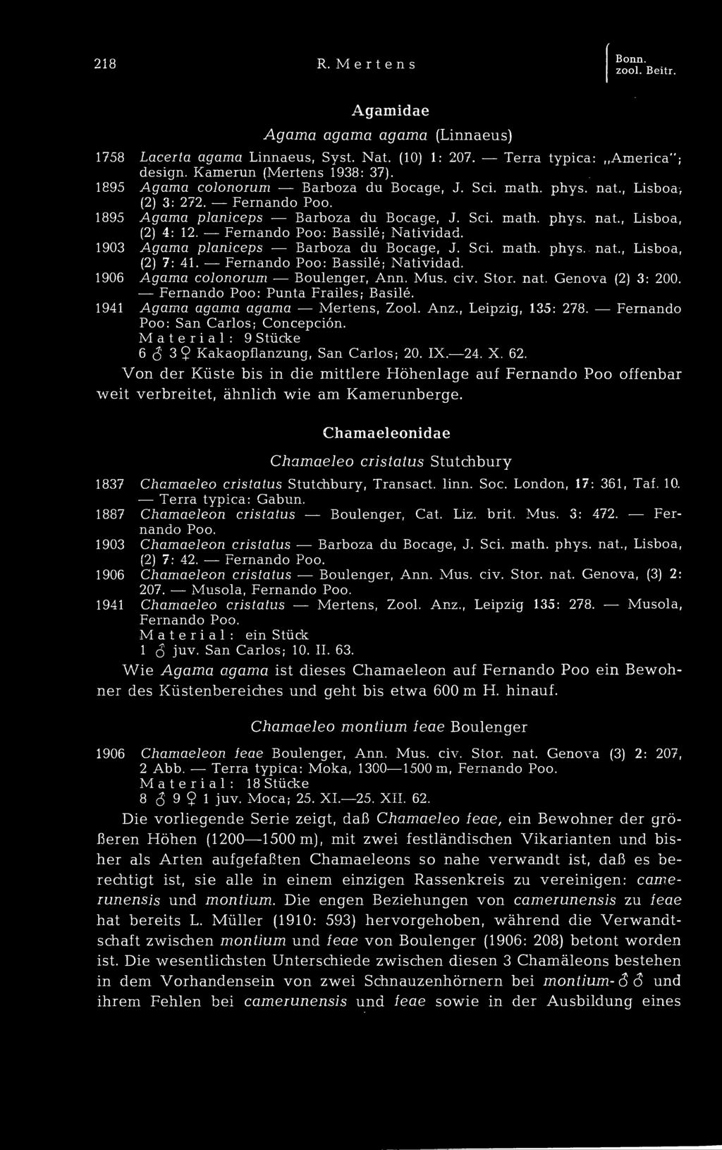 Fernando Poo: Bassilé; Natividad. 1903 Agama planiceps Barboza du Bocage, J. Sei. math. phvs. nat., Lisboa, (2) 7: 41. Fernando Poo: Bassilé; Natividad. 1906 Agama colonorum Boulenger, Ann. Mus. civ.